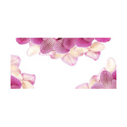 Panou bucatarie, protectie plita, aragaz, antistropire, print UV model Decorativ Orhidee