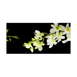 Panou bucatarie, protectie plita, aragaz, antistropire, print UV model Orhidee Molie 2