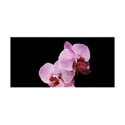 Panou bucatarie, protectie plita, aragaz, antistropire, print UV model Orhidee 8
