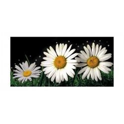 Panou bucatarie, protectie plita, aragaz, antistropire, print UV model Musatel