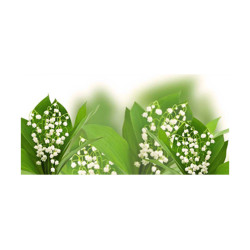 Panou bucatarie, protectie plita, aragaz, antistropire, print UV model Lacramioare