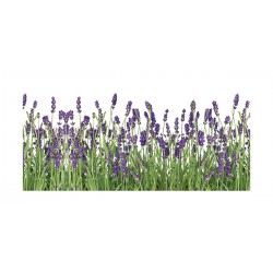 Panou bucatarie, protectie plita, aragaz, antistropire, print UV model Lavanda