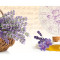Panou bucatarie, protectie plita, aragaz, antistropire, print UV model Ghiveci de Lavanda