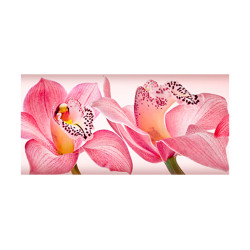 Panou bucatarie, protectie plita, aragaz, antistropire, print UV model Orhidee 19