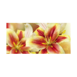 Panou bucatarie, protectie plita, aragaz, antistropire, print UV model Crin 2