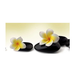 Panou bucatarie, protectie plita, aragaz, antistropire, print UV model Plumeria Alba