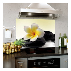Panou bucatarie, protectie plita, aragaz, antistropire, print UV model Plumeria Alba