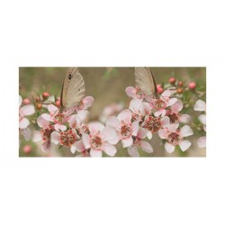 Panou bucatarie, protectie plita, aragaz, antistropire, print UV model Peisaj Floral cu Fluturi