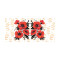 Panou bucatarie decorativ, protectie plita, Desen cu Mac