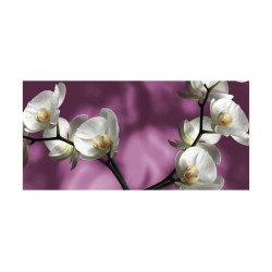Panou bucatarie, protectie plita, aragaz, antistropire, print UV model Orhideea Alba a Lunii 