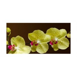 Panou bucatarie, protectie plita, aragaz, antistropire, print UV model Orhidee 32
