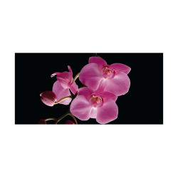 Panou bucatarie, protectie plita, aragaz, antistropire, print UV model Orhidee Mov cu Fundal Negru