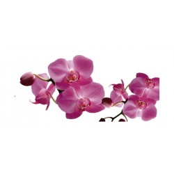 Panou bucatarie, protectie plita, aragaz, antistropire, print UV model Orhidee de Filipine Mov