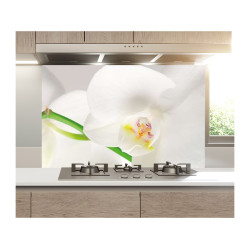 Panou bucatarie decorativ, protectie plita, Orhidee Alba 1 Panou bucatarie decorativ, protectie plita, Orhidee Alba 1