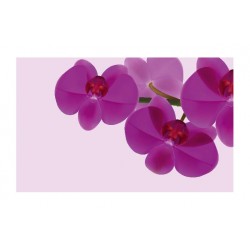 Panou bucatarie, protectie plita, aragaz, antistropire, print UV model 3 Orhidee Violet