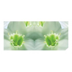Panou bucatarie, protectie plita, aragaz, antistropire, print UV model Orhidee Colorata 1A