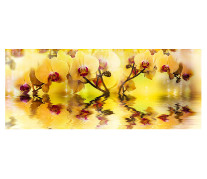 Panou bucatarie, protectie plita, aragaz, antistropire, print UV model Orhidee Galbena 2