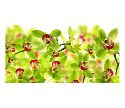 Panou bucatarie, protectie plita, aragaz, antistropire, print UV model Orhidee cu Petale Verzi