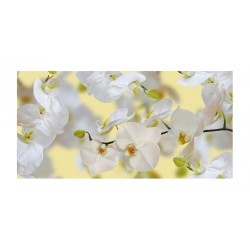 Panou bucatarie, protectie plita, aragaz, antistropire, print UV model Orhidee Alba 3