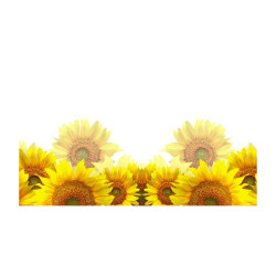Panou bucatarie, protectie plita, aragaz, antistropire, print UV model Floarea Soarelui