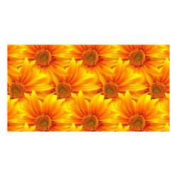 Panou bucatarie, protectie plita, aragaz, antistropire, print UV model Floarea Soarelui 2