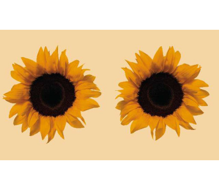 Panou bucatarie, protectie plita, aragaz, antistropire, print UV model 2 Floarea Soarelui