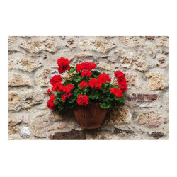 Panou bucatarie, protectie plita, aragaz, antistropire, print UV model Ghivechi cu Flori
