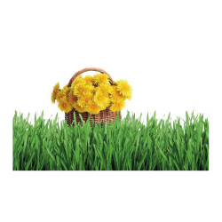 Panou bucatarie, protectie plita, aragaz, antistropire, print UV model Cosulet cu Floricele