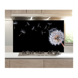 Panou bucatarie decorativ, protectie plita, Papadie Fundal Negru Panou bucatarie decorativ, protectie plita, Papadie Fundal Negru