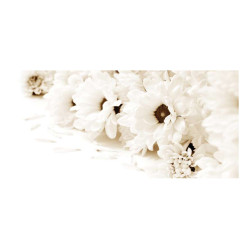 Panou bucatarie, protectie plita, aragaz, antistropire, print UV model Floare Alba