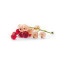 Panou bucatarie, protectie plita, aragaz, antistropire, print UV model Agris (Gooseberry)
