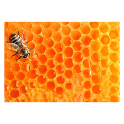 Panou bucatarie, protectie plita, aragaz, antistropire, print UV model Textura Albina