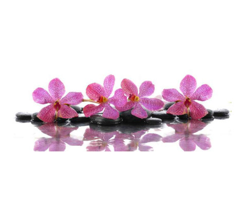 Panou bucatarie, protectie plita, aragaz, antistropire, print UV model 4 Floricele Mov