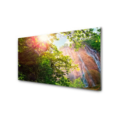 Panou antistropire pentru bucatarie, sticla securizata, model Natura 2