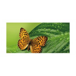 Panou bucatarie, protectie plita, aragaz, antistropire, print UV model Fluture Tropical