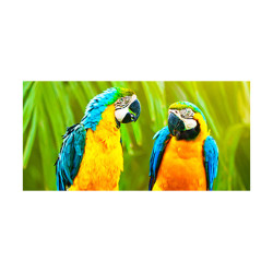 Panou bucatarie, protectie plita, aragaz, antistropire, print UV model Papagali Macaw
