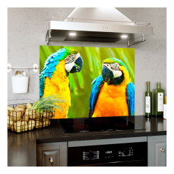 Panou bucatarie, protectie plita, aragaz, antistropire, print UV model Papagali Macaw Panou bucatarie, protectie plita, aragaz, antistropire, print UV model Papagali Macaw