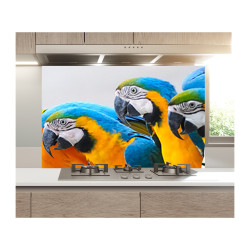 Panou bucatarie, protectie plita, aragaz, antistropire, print UV model 3 Papagali Macaw Panou bucatarie, protectie plita, aragaz, antistropire, print UV model 3 Papagali Macaw