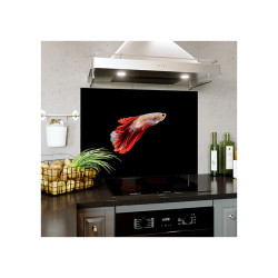 Placari perete din sticla securizata pentru bucatarie, Fish