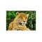 Panou decorativ bucatarie,sticla securizata, protectie plita, print UV Jaguar