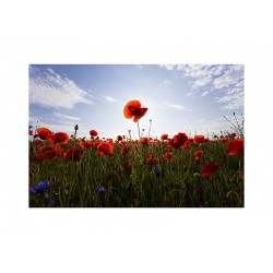 Panou decorativ bucatarie, sticla securizata, print UV Mac