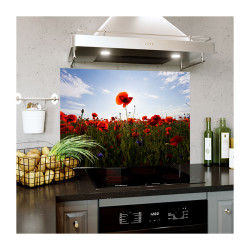 Panou decorativ bucatarie, sticla securizata, print UV Mac