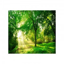 Panou decorativ bucatarie, protectie plita antistropire, model Forest